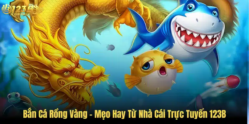 Bắn Cá Rồng Vàng - Mẹo Hay Từ Nhà Cái Trực Tuyến 123B 1 Bắn Cá Rồng Vàng - Mẹo Hay Từ Nhà Cái Trực Tuyến 123B