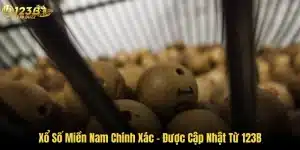 Xổ Số Miền Nam Chính Xác - Được Cập Nhật Từ 123B 3 Xổ Số Miền Nam Chính Xác - Được Cập Nhật Từ 123B