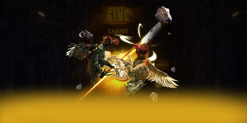 CONGA6789 - Thương hiệu đang được quan tâm hàng đầu được giới cược thủ tin tưởng – Khám phá CONGA6789