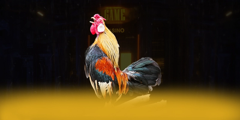 SA88 – Cổng game hàng đầu Việt Nam, được giới cược thủ đánh giá cao.