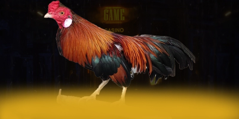 tài xỉu online - Cổng giải trí được cấp phép được giới chuyên môn đánh giá cao – Tìm hiểu về độ tin cậy và bảo mật tại tài xỉu online tài xỉu online - Cổng giải trí được cấp phép được giới chuyên môn đánh giá cao – Tìm hiểu về độ tin cậy và bảo mật tại tài xỉu online