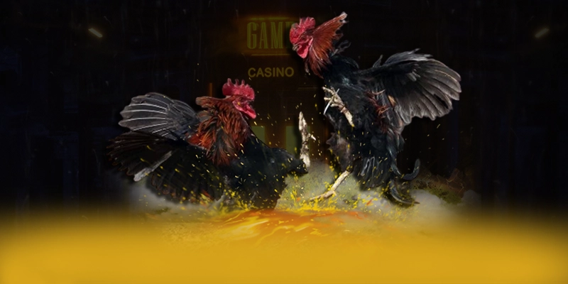 Vinbet - Thương hiệu được yêu thích trên thị trường Vinbet - Thương hiệu được yêu thích trên thị trường