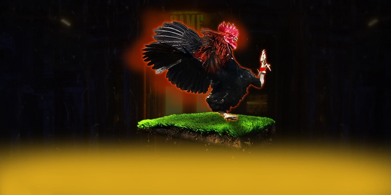 KUWIN - Trang game mang đến thế giới game đa dạng đang làm mưa làm gió trên thị trường – Trải nghiệm KUWIN KUWIN - Trang game mang đến thế giới game đa dạng đang làm mưa làm gió trên thị trường – Trải nghiệm KUWIN