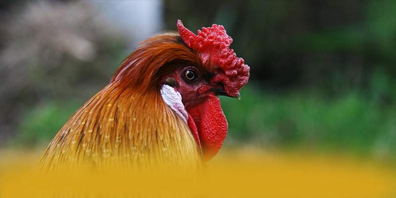 conga6789 - Cổng game ưu đãi khủng được yêu thích hàng đầu – Khám phá chính sách thưởng tại conga6789