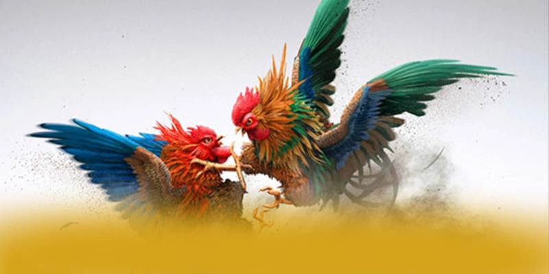 FAFA191 - Khẳng định vị thế từ cộng đồng game thủ.