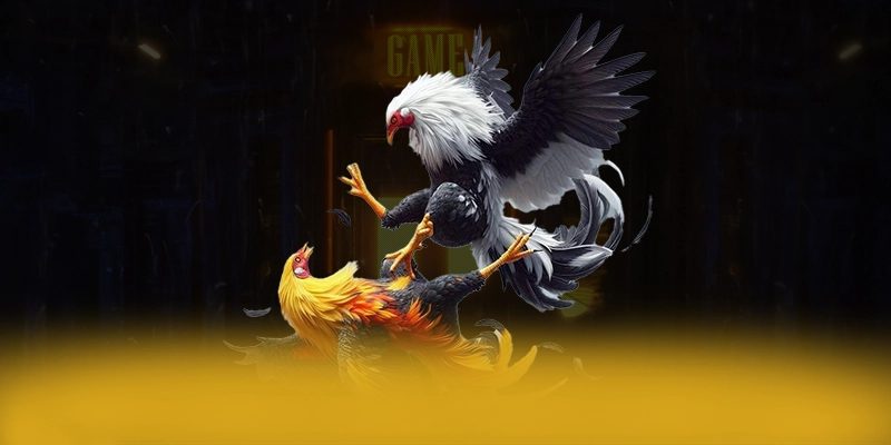 SUNWIN – Cổng game bài được yêu thích nhất, được người chơi yêu thích. SUNWIN – Cổng game bài được yêu thích nhất, được người chơi yêu thích.