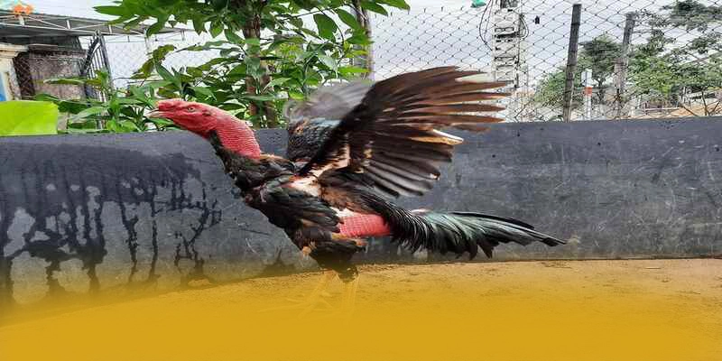 88VV - Trang game được đánh giá cao về độ tin cậy được đánh giá cao – Trải nghiệm 88VV 88VV - Trang game được đánh giá cao về độ tin cậy được đánh giá cao – Trải nghiệm 88VV