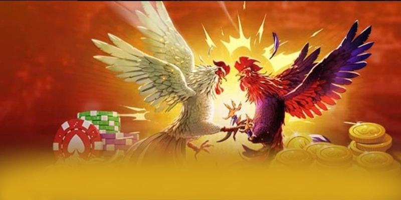 KKWIN - Thương hiệu game trực tuyến có nhiều event hấp dẫn được người chơi tin tưởng – Khám phá KKWIN