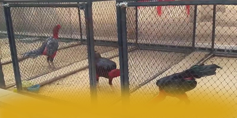 BL555 - Thương hiệu game uy tín được cấp phép được đánh giá cao – Khám phá ngay BL555 BL555 - Thương hiệu game uy tín được cấp phép được đánh giá cao – Khám phá ngay BL555